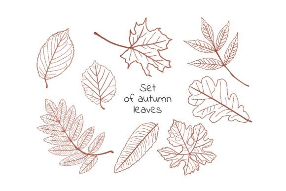 Fall leaf embroidery designs showing various autumn leaves in different shapes and sizes