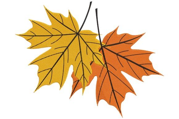 fall leaf embroidery featuring two maple leaves in yellow and orange with detailed black veins