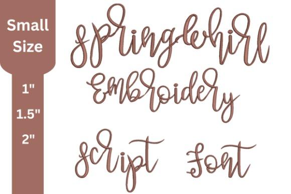 Embroidery fonts showing script style with words spring, girl, embroidery, script, and font in brown thread