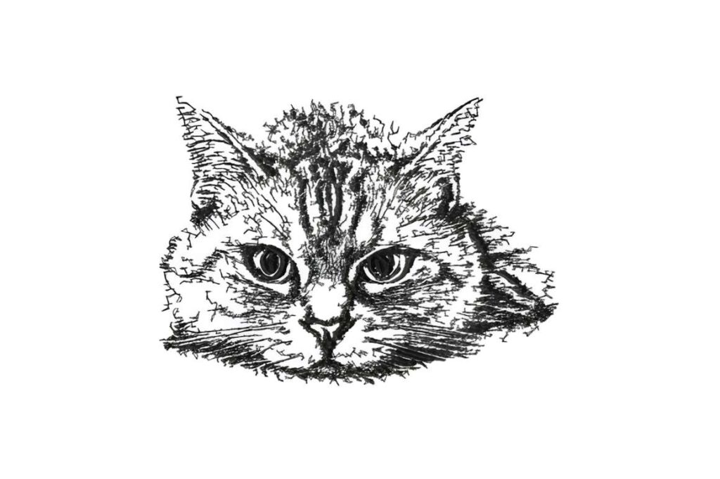 Machine embroidery designs for various styles featuring a pencil-drawn cat portrait with detailed fur and expressive eyes